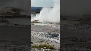 Clepsydra Geyser Yellowstone National Park [upl. by Atiuqahs]