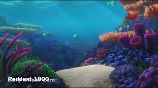 Disney Pixar Dorys Reef Cam [upl. by Nnyl833]