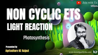 Non cyclic ETS  ZScheme  Light reaction  Agriculture Online Classes  Photosynthesis [upl. by Rekoob676]