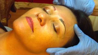 Permanent Makeup Hairstroke Eyebrows 2MOV [upl. by Ber]