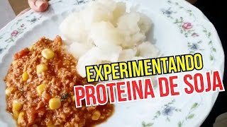 Carne de Soja  Experimentando por 1º vez [upl. by Kiryt649]