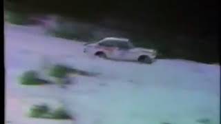 Swedish Rally 1981 amp South Swedish Rally 1981 mm [upl. by Bordy141]