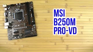 Распаковка MSI B250M ProVD [upl. by Suedama]