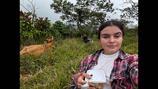 Almorzando con las vacas a la par😰🐂 [upl. by Weide]