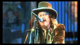 Zucchero Live In Italy  Cosi Celeste [upl. by Nonnair]