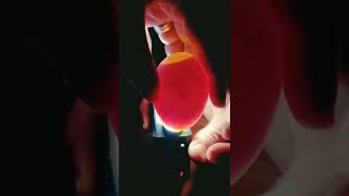 Candling a fertilised Pekin Duck Embryo [upl. by Sadira]