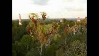 Belize Mayan Temples  Caracol Xunantunich and Tikal [upl. by Vivia169]