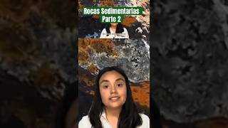 ¿Origen de las rocas sedimentarias shorts geología impulsominero [upl. by Wait820]