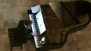 Fantasia Improvviso op66 F Chopin  Luigi Solidoro [upl. by Deaner]