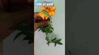 Beautiful flower colouring and drawing How to draw marigold flowerMy art world [upl. by Areip]