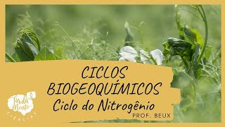 CICLOS BIOGEOQUÍMICOS CICLO DO NITROGÊNIO – Ensino Fundamental [upl. by Ralina]