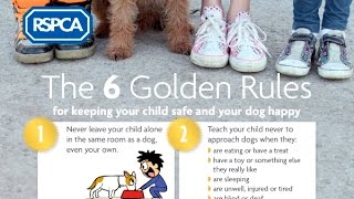 RSPCA Video  Keeping our children safe and our dogs happy [upl. by Alvera722]