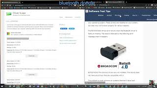 BUDGET BLUETOOTH DEVICE DRIVER BCM20702A0 Drivers Download [upl. by Yesnil]