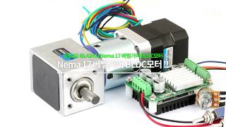 고성능 Nema 17 베벨감속기어 BLDC모터 Bevel Gear BLDC Motor  BG42BL4241 [upl. by Barbara165]