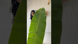 Grand looking bananaleaf toranam in 5 minutes for Diwali housewarmingdecor toranam toran [upl. by Steddman]