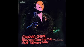 Marvin Gaye  Mercy Mercy Me The Ecology 1971 Soul Purrfection Version [upl. by Hpeseoj939]