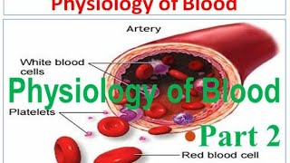 Physiology of Blood Part 2 Informative Video Lecture in Amharic Speech [upl. by Neret]