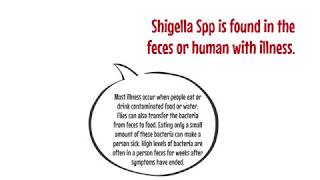 Shigella Spp [upl. by Rundgren]