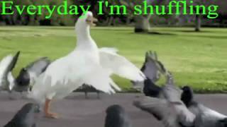 EVERYDAY IM SHUFFLING GOOSE [upl. by Redienhcs]