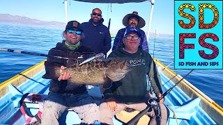 Panga Fishing Baja California Sierra Cabrilla amp Trigger Fish in La Poma Gonzaga Bay Spring 23 SDFS [upl. by Wakefield665]