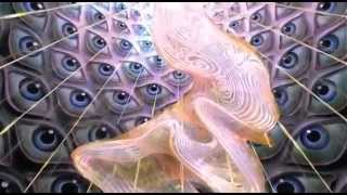 ▶ DMT The Spirit Molecule  2010 [upl. by Genesia]