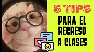 ✅ 5 TIPS PARA EL REGRESO A CLASES 🙀 [upl. by Akkire]