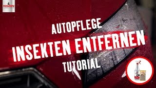 Autopflege Tutorial Insekten vom Auto entfernen [upl. by Estell]