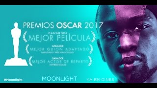 MOONLIGHT  Disponible en DVD y BluRay  Premios Oscar [upl. by Redvers900]