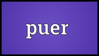 Puer Meaning [upl. by Tsiuqram]