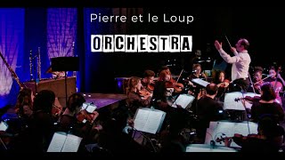 Pierre et le loup Orchestra [upl. by Eniar]