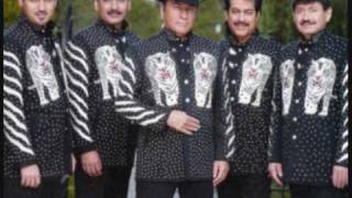 Los tigres del norte La mesa del rincón Lyrics [upl. by Leontina]