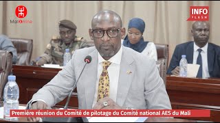 PREMIÈRE RÉUNION DU COMITÉ DE PILOTAGE DU COMITÉ NATIONAL AES DU MALI [upl. by Avin]