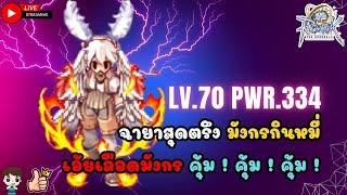 THE RAGNAROK  OBT Day 6 Hunter LV 70 พลัง 330k ตู้ ออคฮีโร่  มาพร้อม Drake  เดือดไปไหมม The RO [upl. by Ruhtracm]