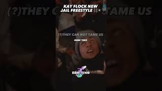 New Kay Flock Jail Freestyle 🏴‍☠️⛓FREELORDFLOCK🏴‍☠️ [upl. by Tabshey]