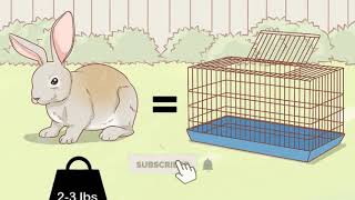 COMMENT PRÉPARER UNE CAGE POUR UN LAPIN  13 [upl. by Berke]