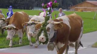 Grassau und Rottau im Chiemgau Urlaub zwischen Almen und Chiemsee [upl. by Naerda]