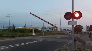 Trains at Betooni Crossing Tartu [upl. by Hammel879]