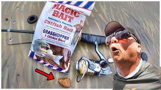 A Simple Way To Catch Catfish With Magic Bait From Walmart [upl. by Glynnis593]