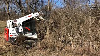 Loftness L series Battle axe forestry mulcher on Bobcat T595 [upl. by Aciras114]