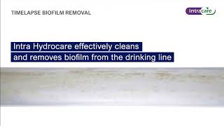 Timelapse Intra Hydrocare biofilm cleaning in drinking lines [upl. by Vasiliki]