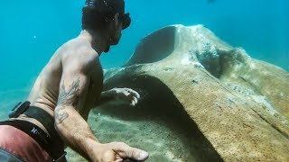 YBS Lifestyle Ep 42  NATURE IS CRAZY Found A Whale Skeleton  Spearfishing On NYD  Catch And Cook [upl. by Jorey]