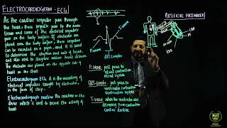 Electrocardiogram artificial pace maker and blue babies  11TH BIOLOGY  CHP 14  LECTURE 23 [upl. by Nit662]