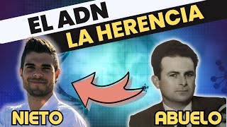 EL ADN como BIOMOLÉCULA de la HERENCIA introducción a la REPLICACIÓN [upl. by Durant]