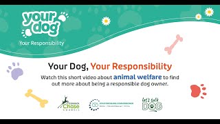 Lets Talk Dog  Animal Welfare [upl. by Honniball]