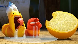 LARVA  LEMON  2017 Cartoon  Videos For Kids  Kids TV Shows Full Episodes [upl. by Emmott]