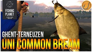 Unique Common Bream of GhentTerneuzen Canal  Fishing Planet Test Your Spot Series [upl. by Kaufman]