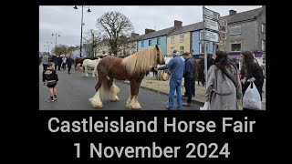 Castleisland Horse Fair 1 November 2024 [upl. by Trinia]