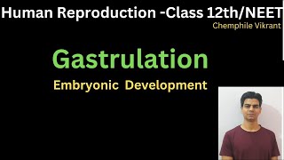 Gastrulation  Human Reproduction chemphilevikrant [upl. by Barde]