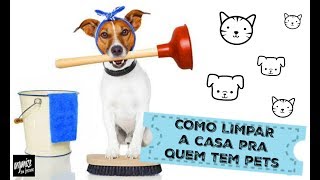 Cena Vet  Limpeza De Ouvido  Cães e Gatos  Como limpar [upl. by Rudd]