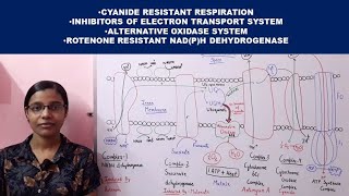 Cyanide Resistant Respiration  Inhibitors of Electron Transport Chain  Alternative oxidase [upl. by Ahseital601]